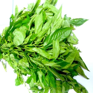 Fresh ewedu leaves, 1 bunch