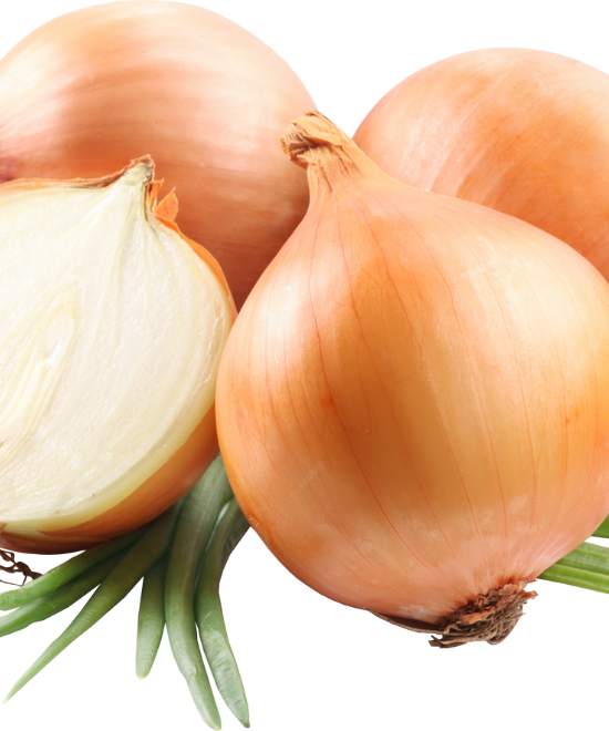Fresh White Onion Pack of 4, Pack of 4