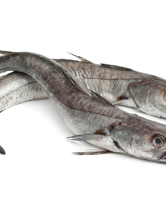 Frozen Hake – Whole Uncut 1kg, 1kg